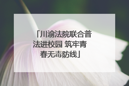 川渝法院联合普法进校园 筑牢青春无毒防线