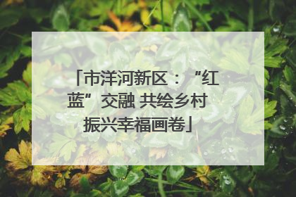 市洋河新区：“红蓝”交融 共绘乡村振兴幸福画卷