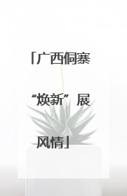广西侗寨“焕新”展风情