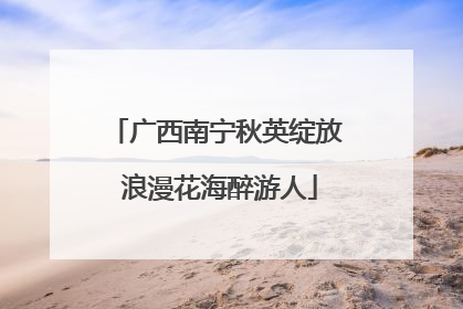 广西南宁秋英绽放 浪漫花海醉游人