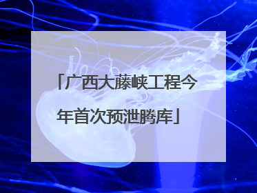 广西大藤峡工程今年首次预泄腾库