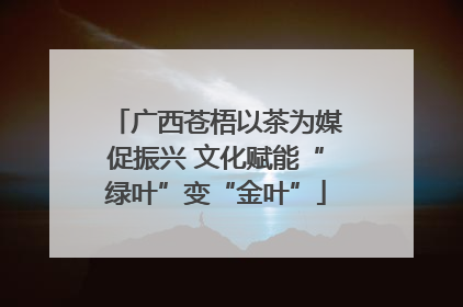 广西苍梧以茶为媒促振兴 文化赋能“绿叶”变“金叶”