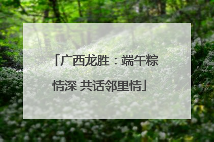 广西龙胜：端午粽情深 共话邻里情