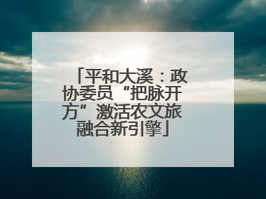 平和大溪：政协委员“把脉开方”激活农文旅融合新引擎