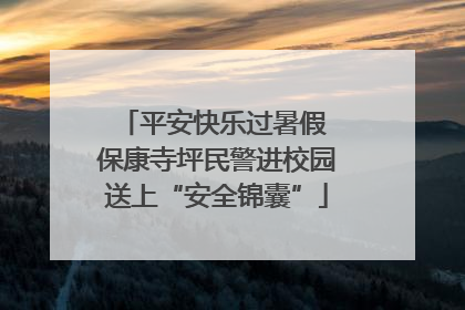 平安快乐过暑假 保康寺坪民警进校园送上“安全锦囊”