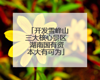 开发雪峰山三大核心景区 湖南国有资本大有可为