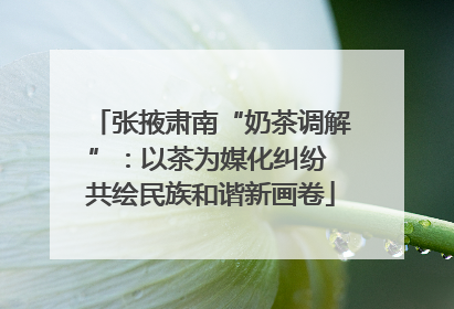 张掖肃南“奶茶调解”：以茶为媒化纠纷 共绘民族和谐新画卷