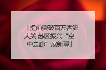 提前突破百万客流大关 苏区振兴“空中走廊”展新翼