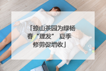 捺山茶园为绿杨春“理发” 夏季修剪促增收