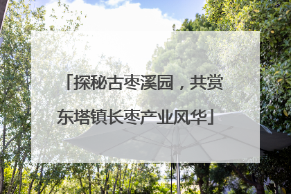 探秘古枣溪园，共赏东塔镇长枣产业风华