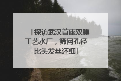 探访武汉首座双膜工艺水厂，筛网孔径比头发丝还细