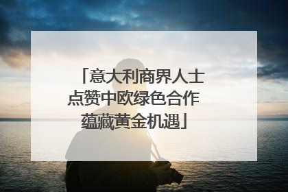 意大利商界人士点赞中欧绿色合作蕴藏黄金机遇