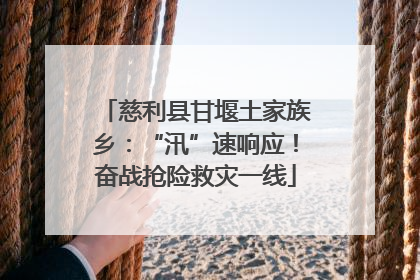 慈利县甘堰土家族乡：“汛”速响应！奋战抢险救灾一线