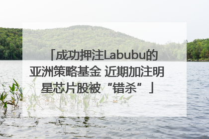 成功押注Labubu的亚洲策略基金 近期加注明星芯片股被“错杀”