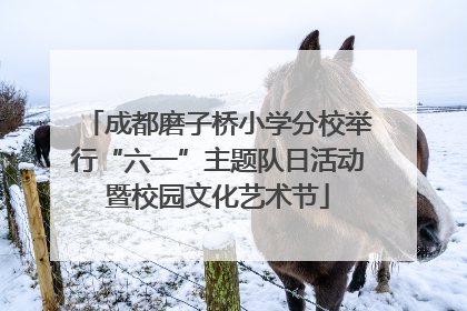 成都磨子桥小学分校举行“六一”主题队日活动暨校园文化艺术节
