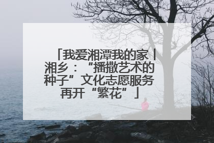 我爱湘潭我的家丨湘乡：“播撒艺术的种子”文化志愿服务再开“繁花”