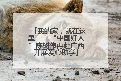 我的家，就在这里——“中国好人”陈树伟再赴广西开展爱心助学