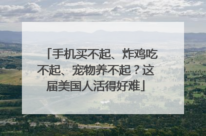 手机买不起、炸鸡吃不起、宠物养不起？这届美国人活得好难