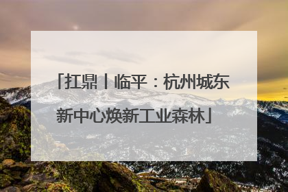 扛鼎丨临平：杭州城东新中心焕新工业森林