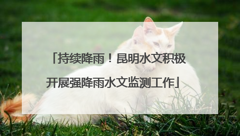 持续降雨！昆明水文积极开展强降雨水文监测工作