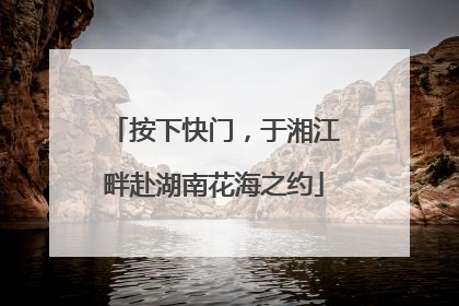 按下快门，于湘江畔赴湖南花海之约
