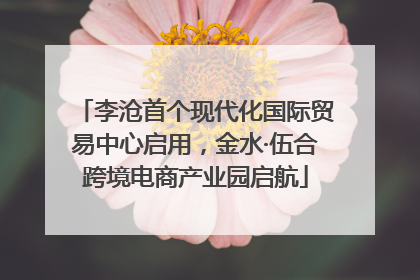 李沧首个现代化国际贸易中心启用，金水·伍合跨境电商产业园启航