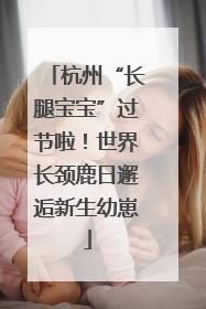 杭州“长腿宝宝”过节啦！世界长颈鹿日邂逅新生幼崽