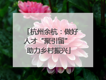 杭州余杭：做好人才“聚引留” 助力乡村振兴