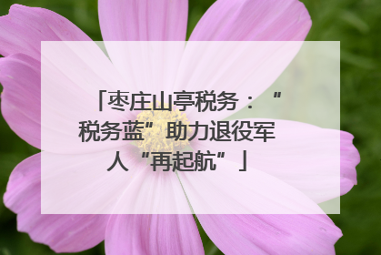 枣庄山亭税务：“税务蓝”助力退役军人“再起航”