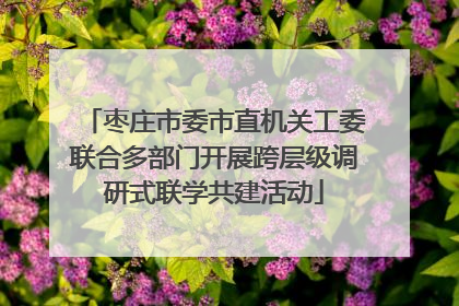 枣庄市委市直机关工委联合多部门开展跨层级调研式联学共建活动