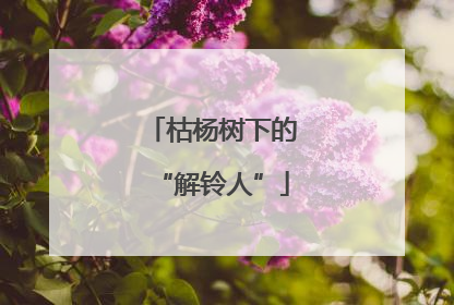 枯杨树下的“解铃人”