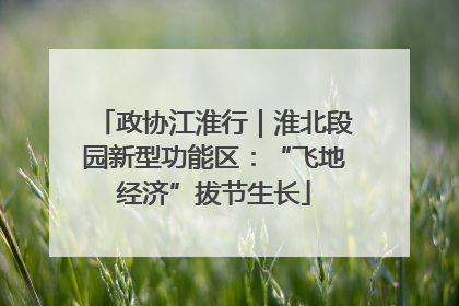 政协江淮行｜淮北段园新型功能区：“飞地经济”拔节生长