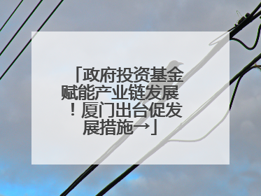 政府投资基金赋能产业链发展！厦门出台促发展措施→