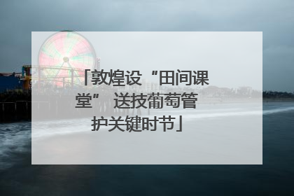 敦煌设“田间课堂” 送技葡萄管护关键时节