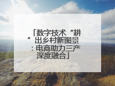 数字技术“耕”出乡村新图景：电商助力三产深度融合