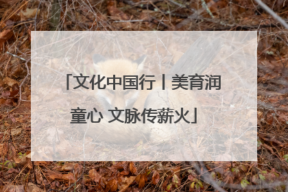 文化中国行丨美育润童心 文脉传薪火