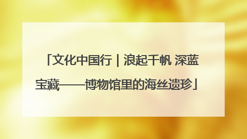 文化中国行｜浪起千帆 深蓝宝藏——博物馆里的海丝遗珍