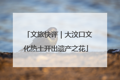 文旅快评｜大汶口文化热土开出遗产之花