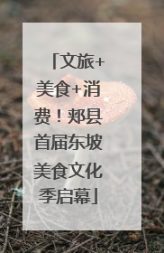 文旅+美食+消费！郏县首届东坡美食文化季启幕