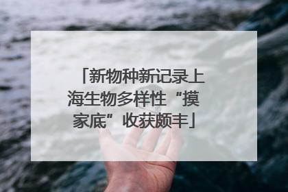 新物种新记录上海生物多样性“摸家底”收获颇丰
