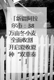 新疆阿拉尔市：38万亩冬小麦全面收割 开启夏收夏种“双重奏”