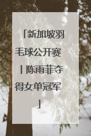 新加坡羽毛球公开赛丨陈雨菲夺得女单冠军