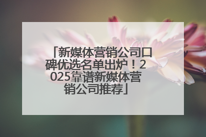 新媒体营销公司口碑优选名单出炉！2025靠谱新媒体营销公司推荐