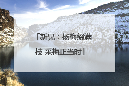新晃：杨梅缀满枝 采梅正当时