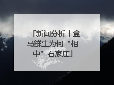 新闻分析丨盒马鲜生为何“相中”石家庄