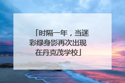 时隔一年，当迷彩绿身影再次出现在丹克茂学校