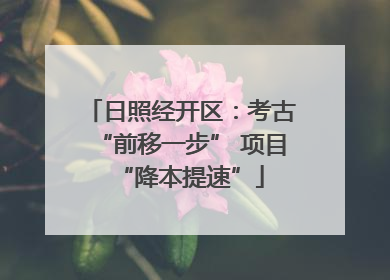 日照经开区：考古“前移一步” 项目“降本提速”