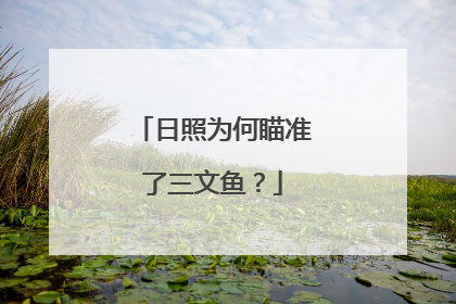 日照为何瞄准了三文鱼？
