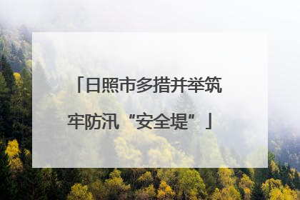 日照市多措并举筑牢防汛“安全堤”