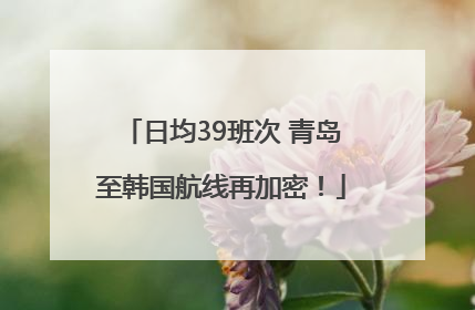 日均39班次 青岛至韩国航线再加密！
